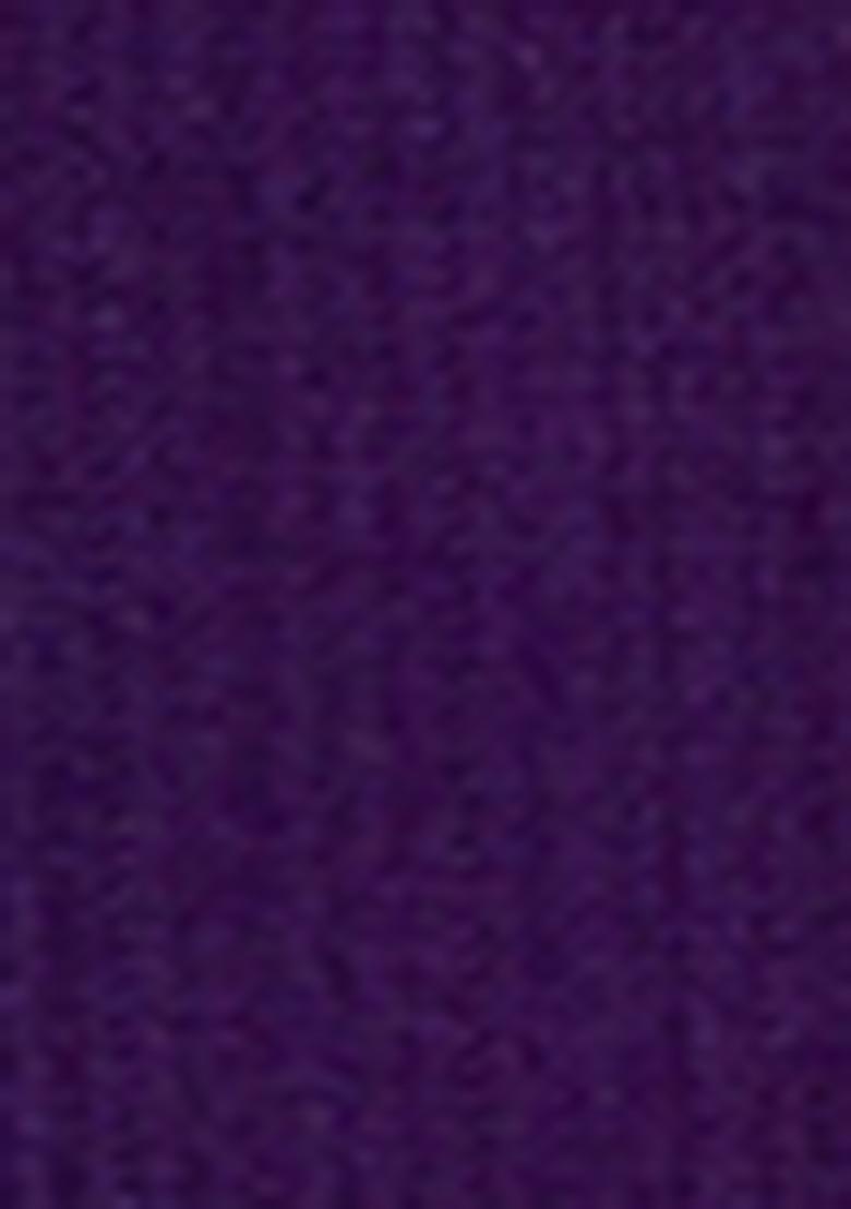 Purple Sequin Embroidered Silk Salwar Kameez With Dupatta