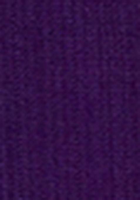 Purple Sequin Embroidered Silk Salwar Kameez With Dupatta