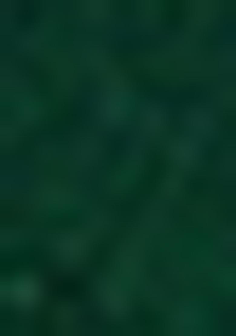 Green Sequin Embroidered Chinon Salwar Kameez