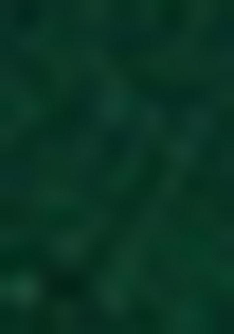 Green Sequin Embroidered Chinon Salwar Kameez