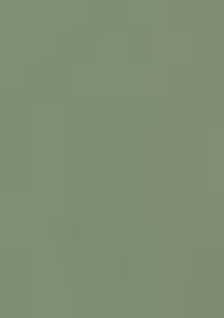 Pista Green Embroidererd Georgette Sharara Set With Dupatta