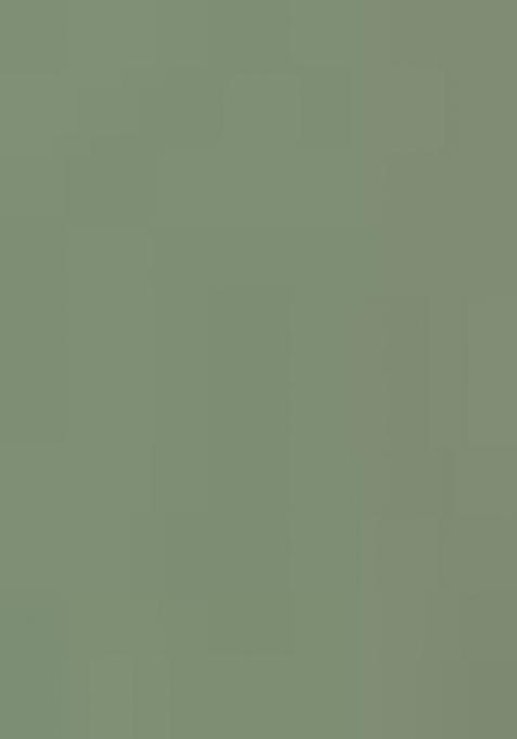 Pista Green Embroidererd Georgette Sharara Set With Dupatta