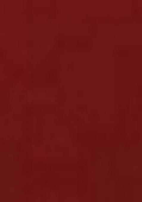 Maroon Embroidered Poly Blend Anarkali Set