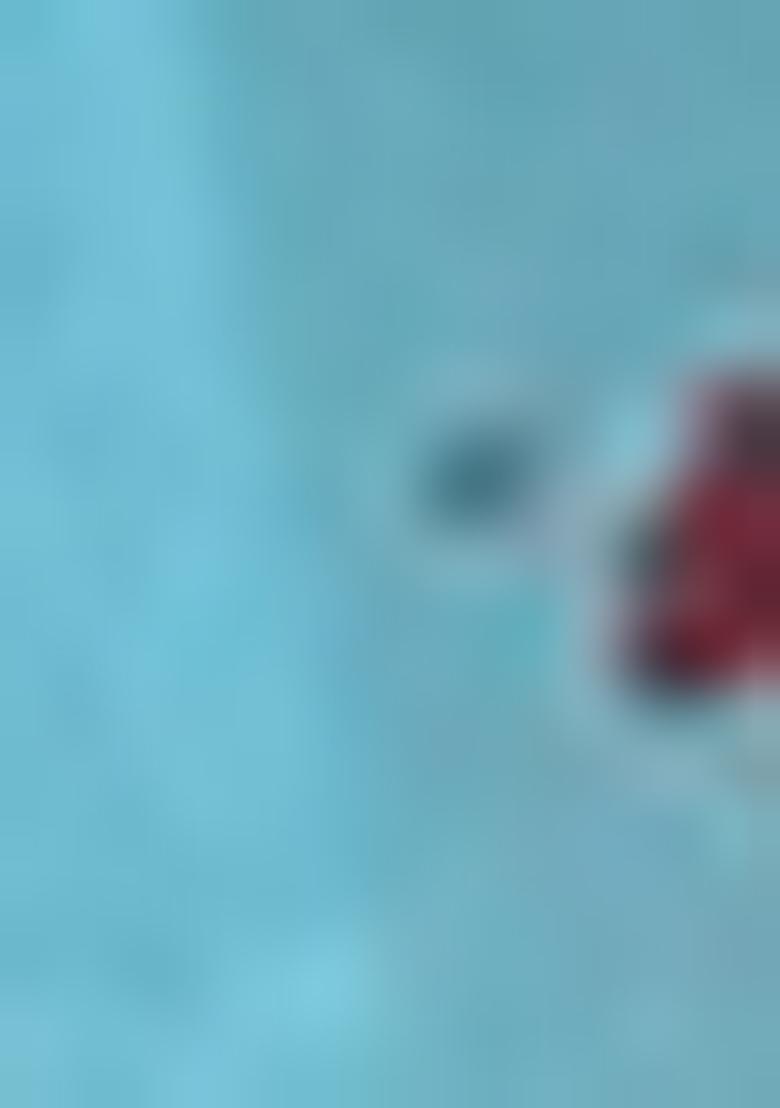 Teal Blue Lace Work Georgette Anarkali Set