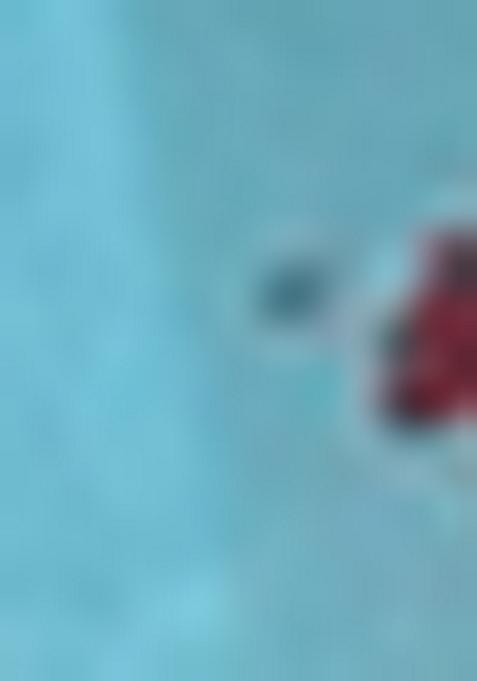 Teal Blue Lace Work Georgette Anarkali Set