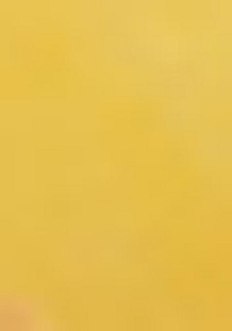 Yellow Lace Work Georgette Anarkali With Dupatta