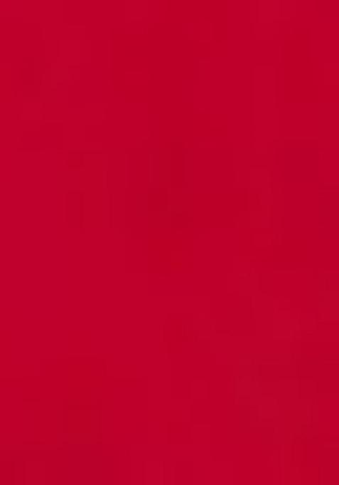 Red Chikankari Chikankari Anarkali Set With Dupatta