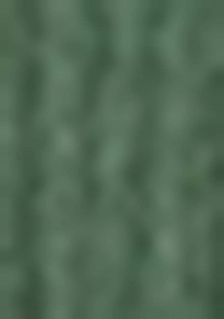 Dark Green Embroidered Cotton Sharara Set