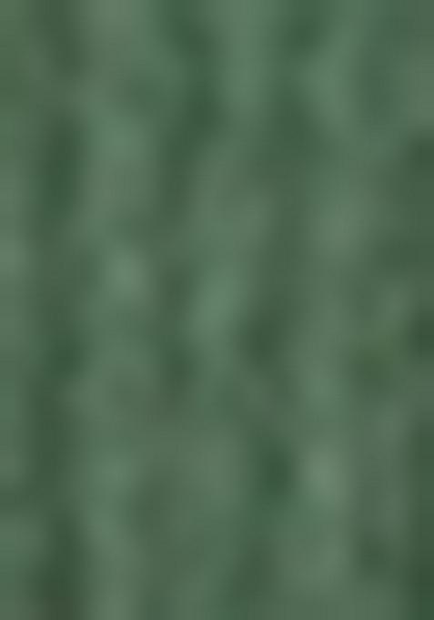 Dark Green Embroidered Cotton Sharara Set