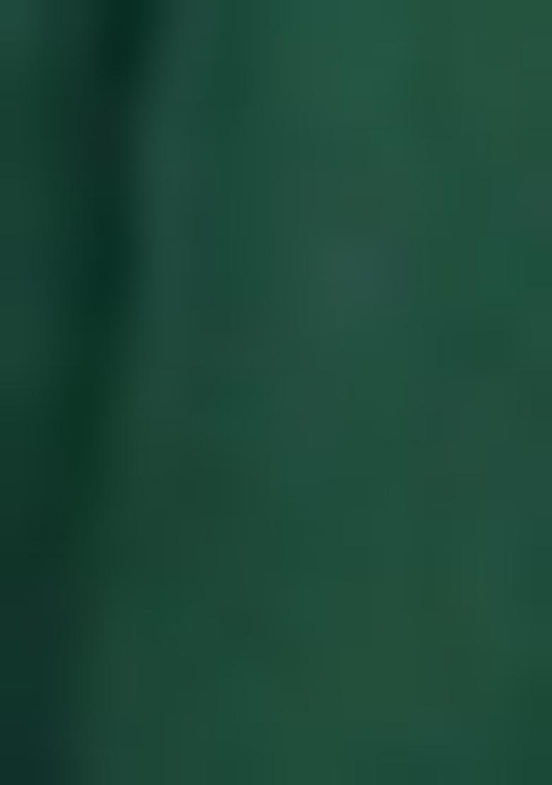 Dark Green Embroidered Georgette Anarkali Set With Dupatta