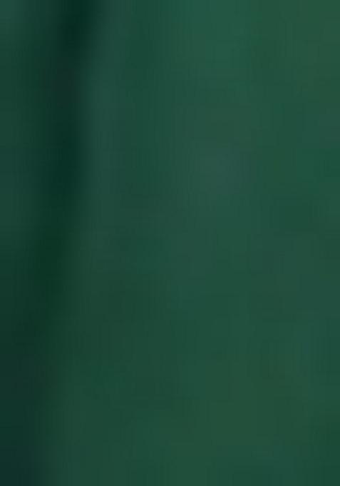 Dark Green Embroidered Georgette Anarkali Set With Dupatta