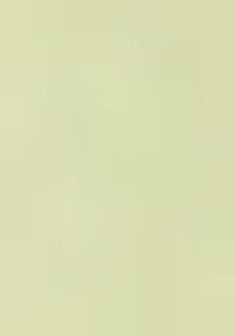 Pista Green Embroidered Georgette Shararra Set With Dupatta