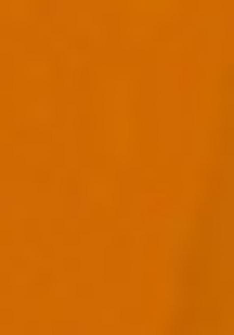 Multi Embroidered Chinon Shararra Set With Dupatta