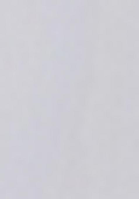 White Embroidered Chinon Shararra Set With Dupatta