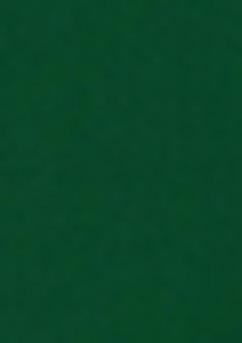 Green Embroidered Chinon Shararra Set With Dupatta