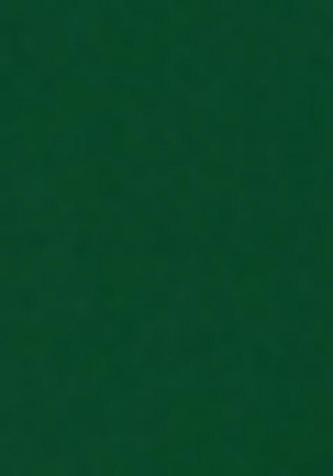 Green Embroidered Chinon Shararra Set With Dupatta