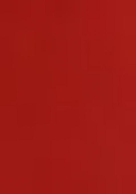 Rust Brown Printed Organza Silk Anarkali Set With Dupatta