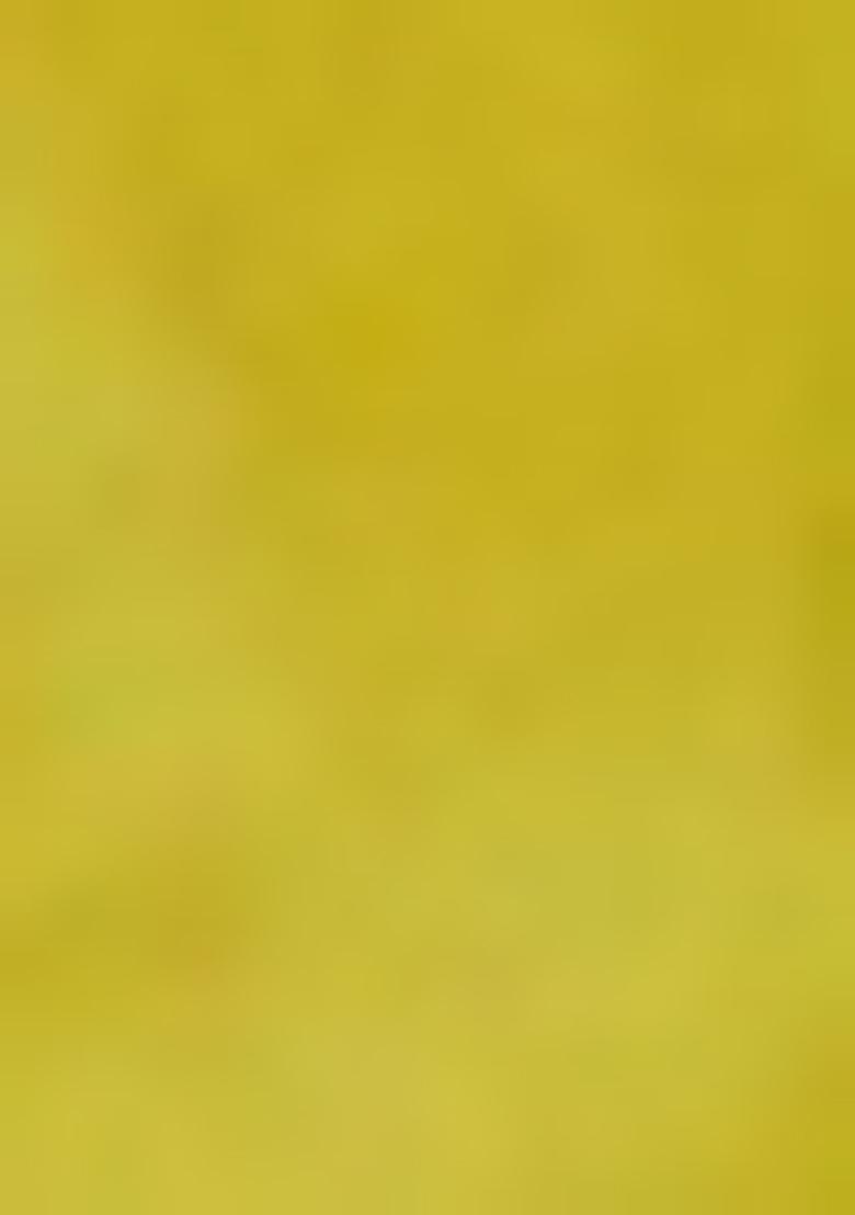 Liril Green Embroidererd Rayon Salwar Kameez With Dupatta