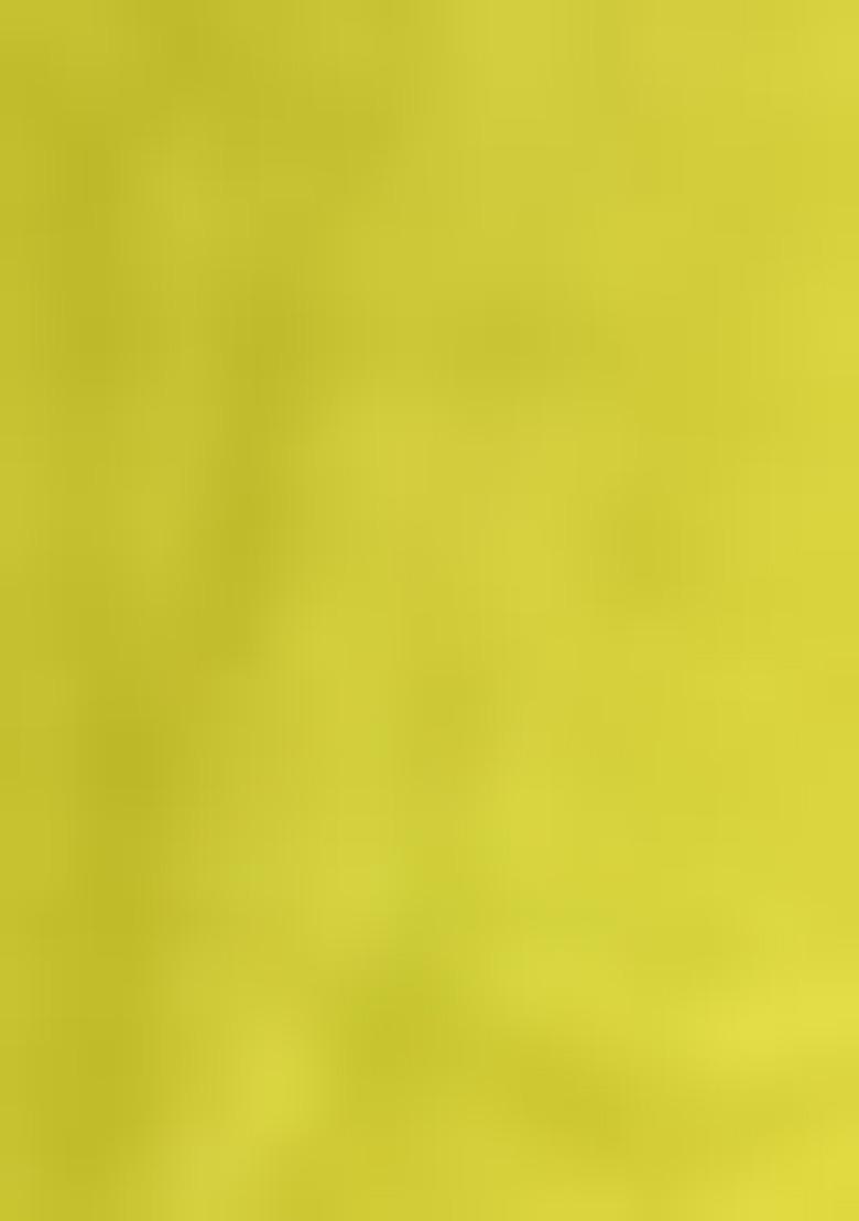 Lemon Yellow Embroidered Viscose Salwar Kameez