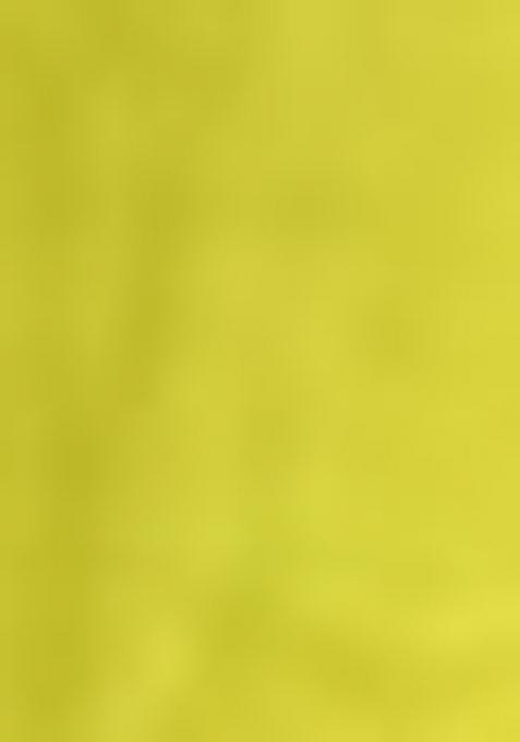 Lemon Yellow Embroidered Viscose Salwar Kameez