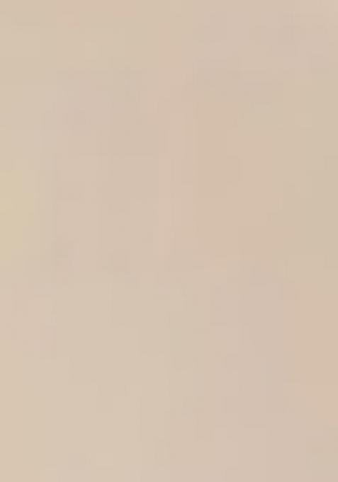 White Embroidered Nylon Salwar Kameez