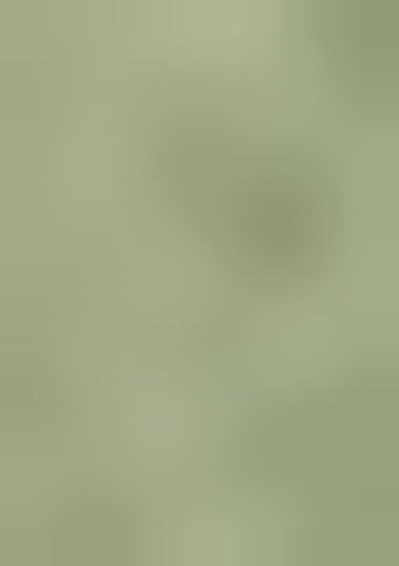 Light Green Embroidered Silk Salwar Kameez