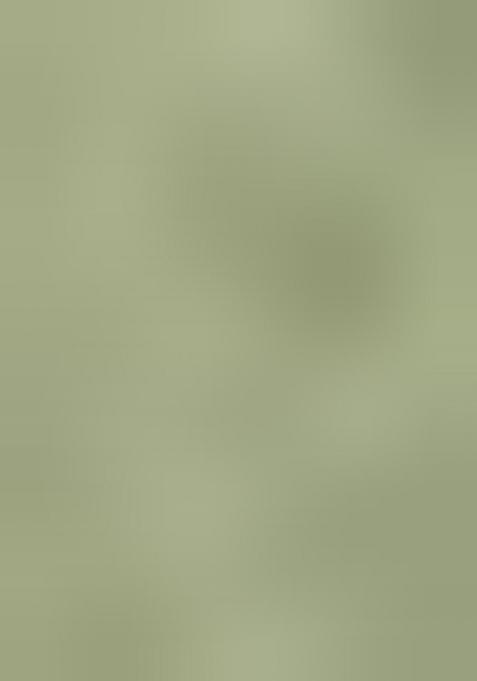 Light Green Embroidered Silk Salwar Kameez