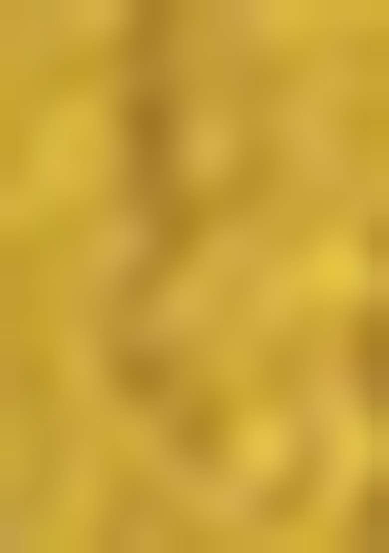 Mustard Yellow Embroidered Silk Sharara Set - Indya