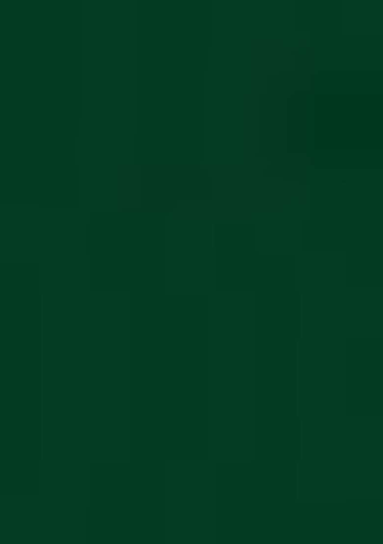 Green Embroidered Georgette Anarkali Set - Indya