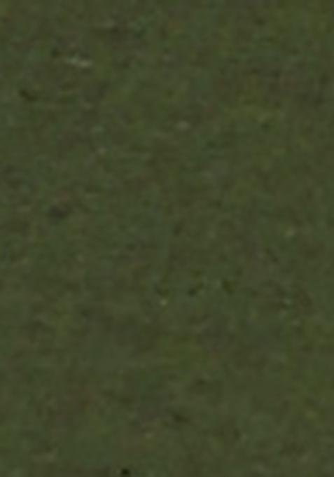 Olive Green Printed Linen Co Ord Set