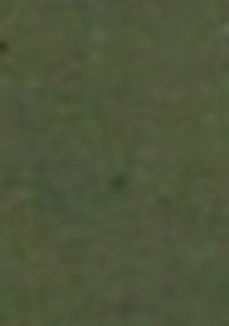 Olive Green Printed Linen Co Ord Set