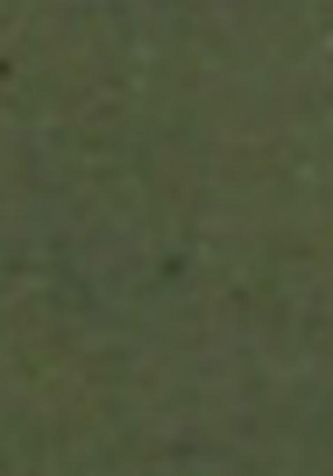 Olive Green Printed Linen Co Ord Set