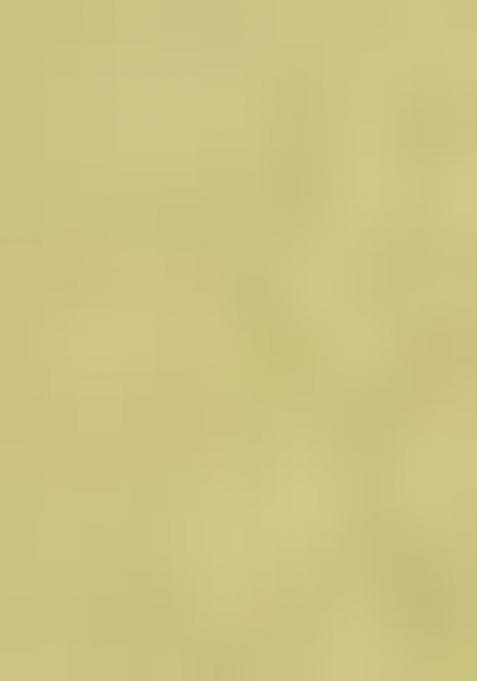 Light Green Printed Linen Co Ord Set