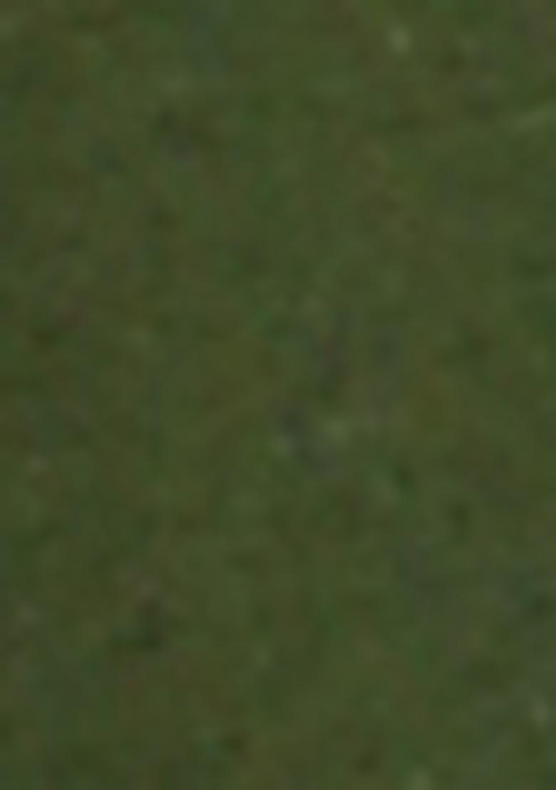 Olive Green Printed Linen Co Ord Set