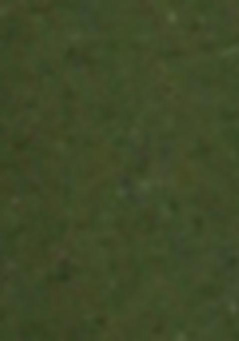 Olive Green Printed Linen Co Ord Set