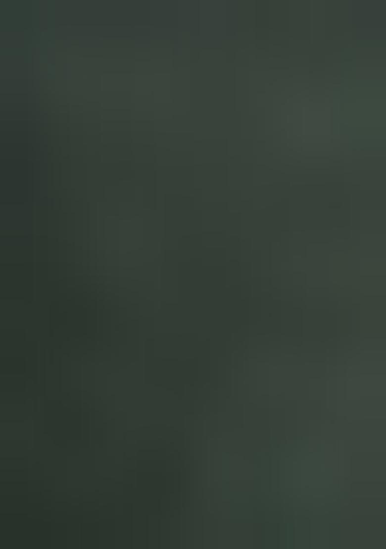 Green Zari Work Cotton Salwar Kameez