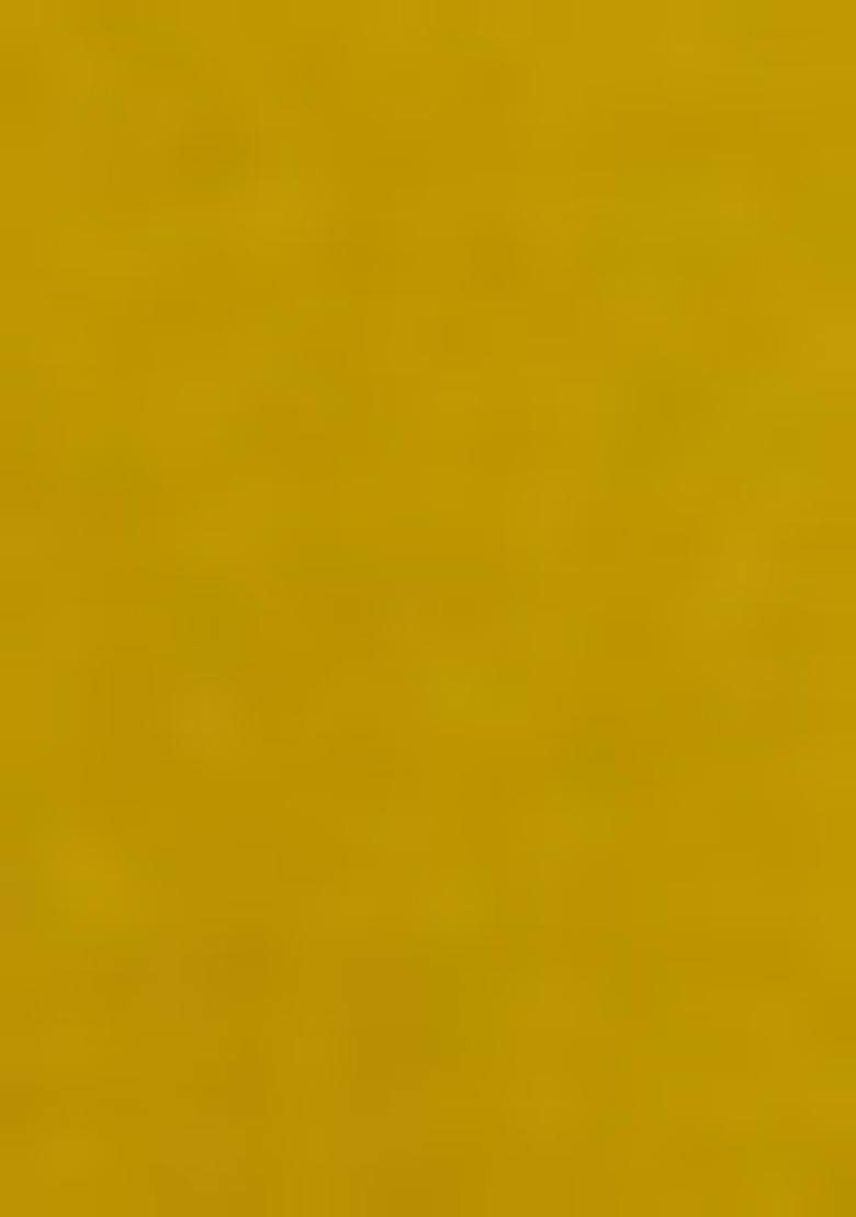 Mustard Yellow Embroidered Viscose Rayon Salwar Kameez