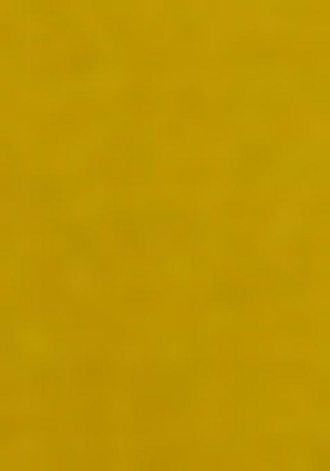 Mustard Yellow Embroidered Viscose Rayon Salwar Kameez