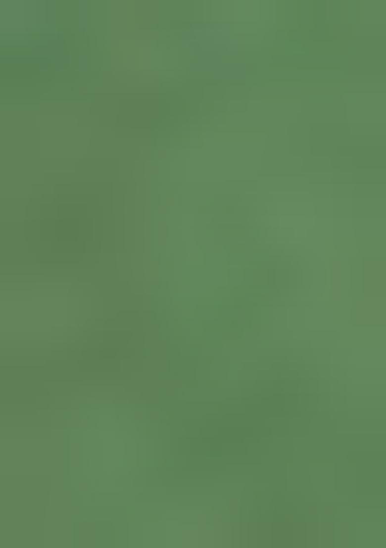 Green Embroidered Silk Salwar Kameez