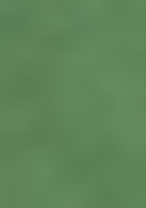 Green Embroidered Silk Salwar Kameez