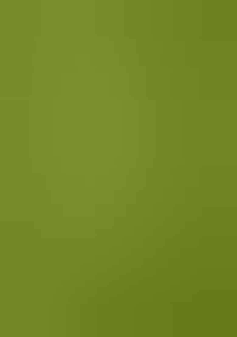 Lime Green Embroidered Silk Blend Pakistani Suit Set - Indya
