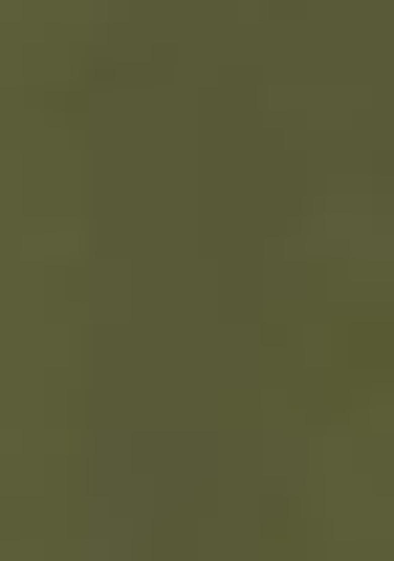 Green Embroidered Net Palazzo Set With Dupatta