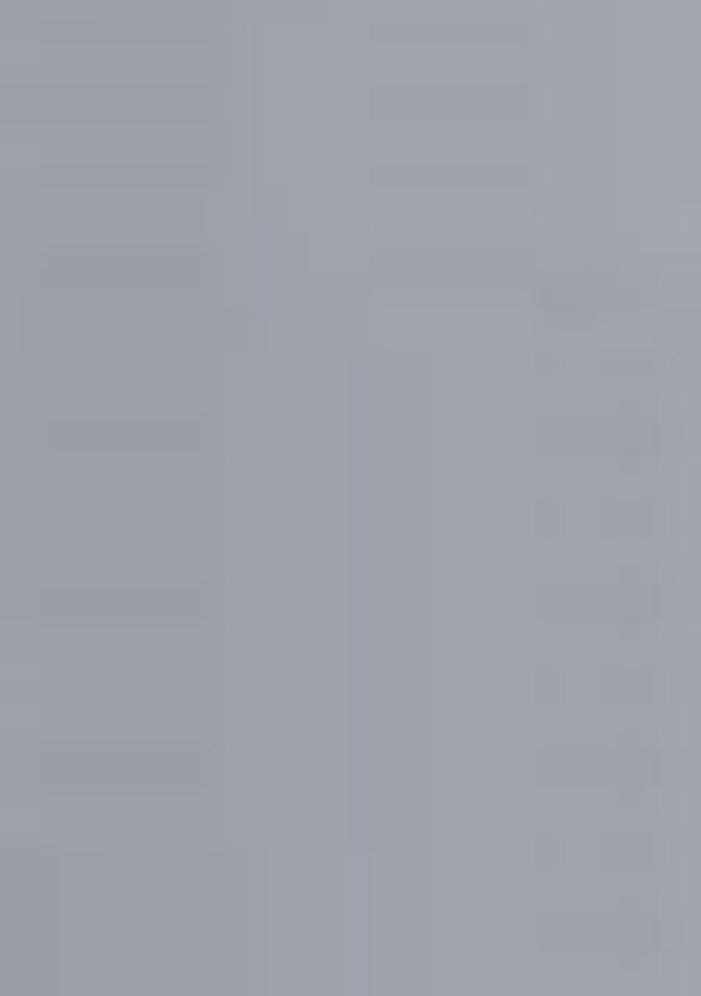 Light Grey Embroidered Georgette Pakistani Salwar Kameez With Dupatta