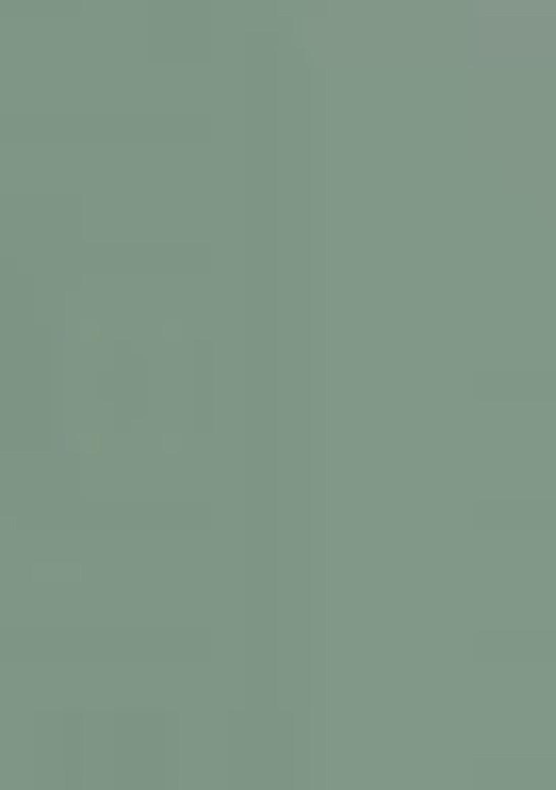 Light Green Embroidered Georgette Pakistani Salwar Kameez With Dupatta