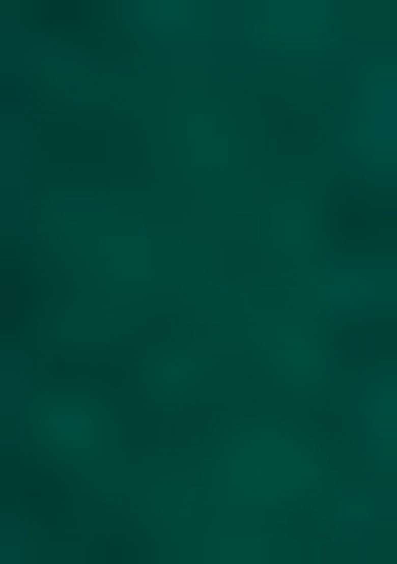 Green Embroidered Velvet Sharara Set - Indya
