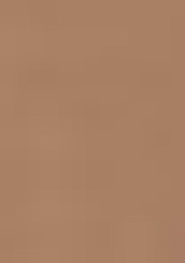 Brown Embroidered Georgette Pakistani Salwar Kameez With Dupatta