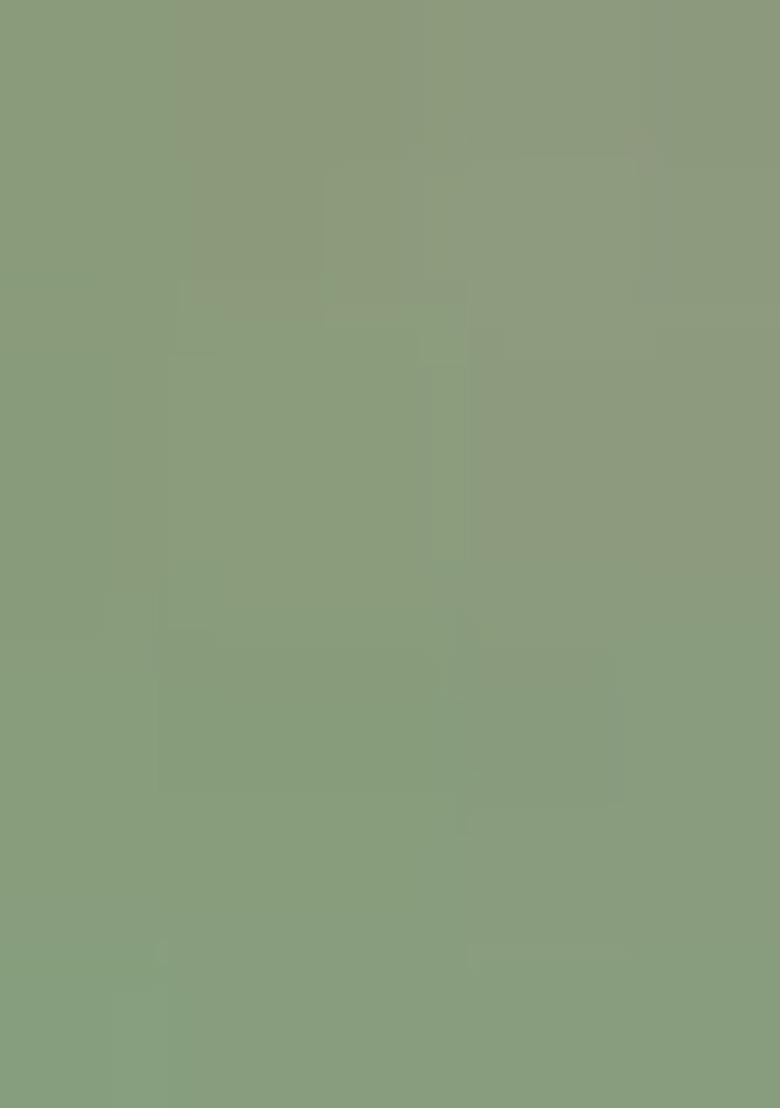 Green Embroidered Viscose Pakistani Salwar Kameez With Dupatta