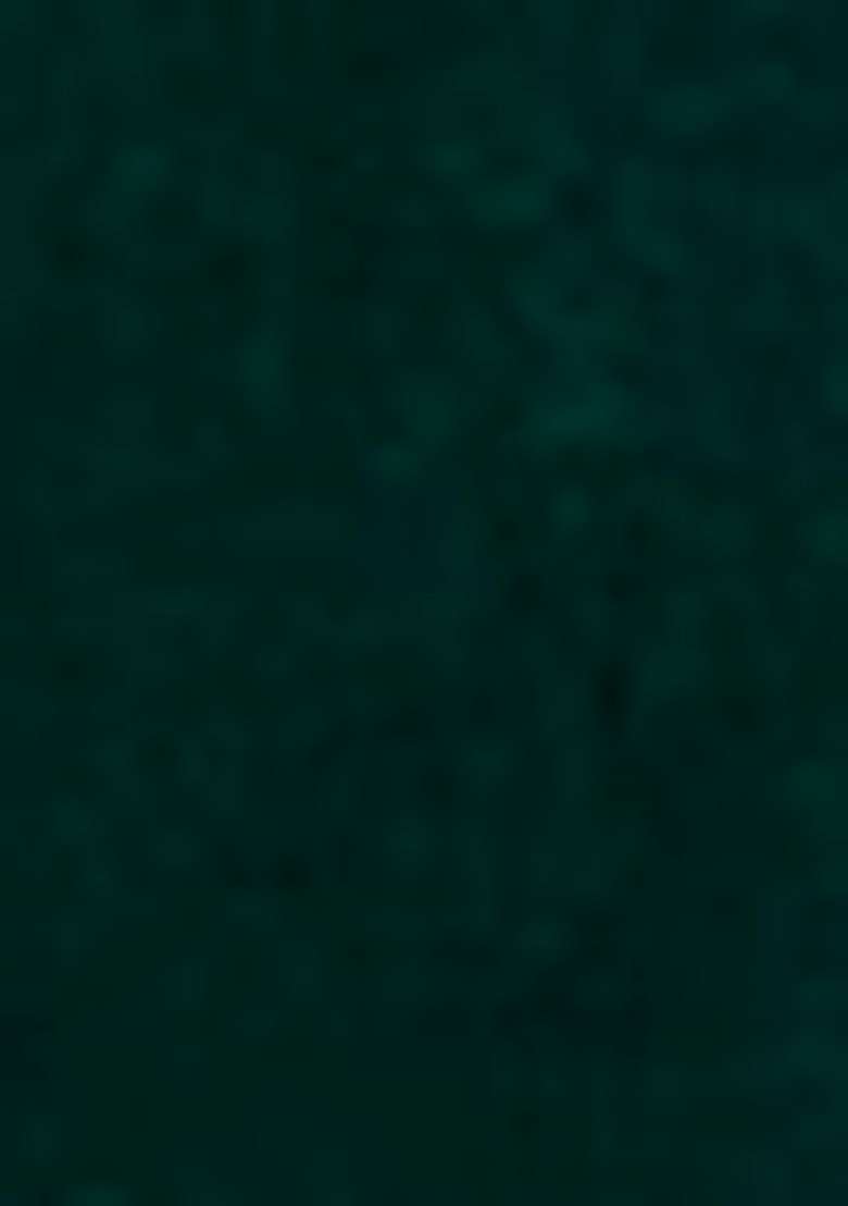 Green Embroidered Velvet Sharara Set - Indya