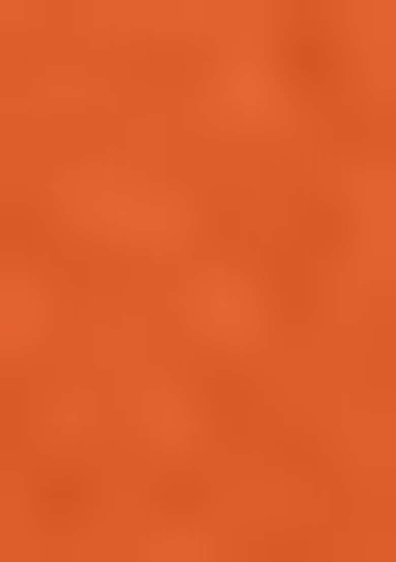 Orange Embroidered Chinnon Silk Anarkali Set With Dupatta - Indya