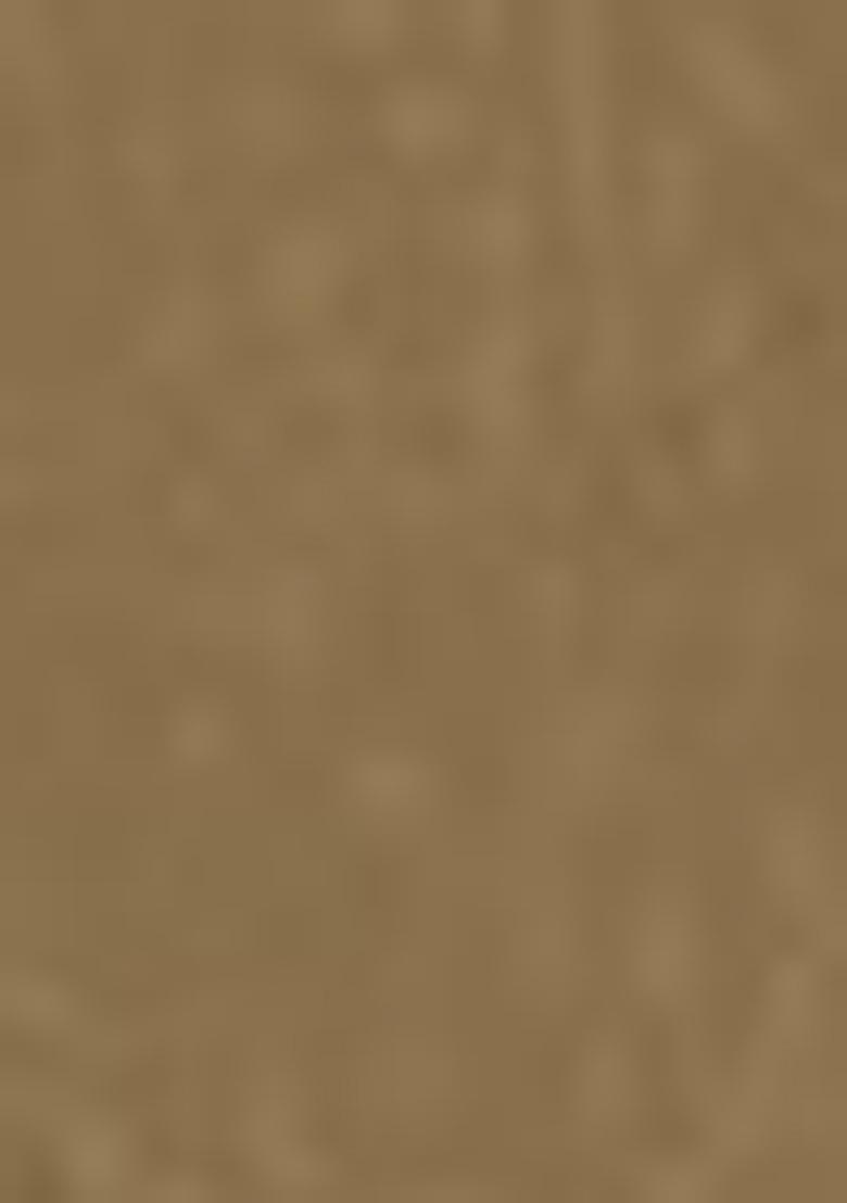 Mehendi Green Embroidered Georgette Pakistani Salwar Kameez With Dupatta